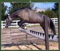 manufortifarms.com Marydith