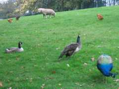 geograph.org.uk Maryon