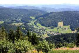 schwarzwald.com Marzell