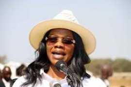 herald.co.zw Masebo