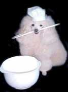 pethall.com Mashmellow
