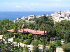 almashtal.com Mashtal