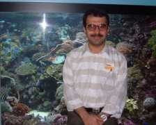 Masoud