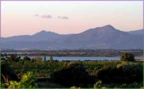panoramio.com Massane