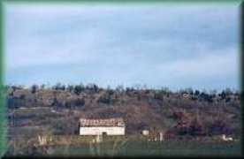 Masseri