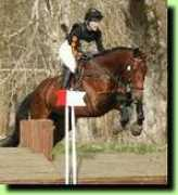 naturalhorsetraining.com Massingale