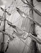 Masted