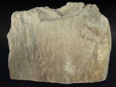 Mastek