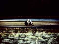 onewheeldrive.net Mastine