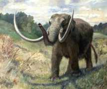 arizonaskiesmeteorites.com Mastodon