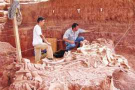 aporrea.org Mastodonte