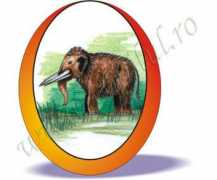 copilul.ro Mastodonte