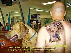 folwarkzwierzecy.com Matabo