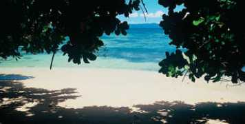 taveuniislandresort.com Matalau