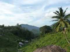 panoramio.com Matale