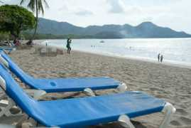 riuguanacaste.net Matapalo
