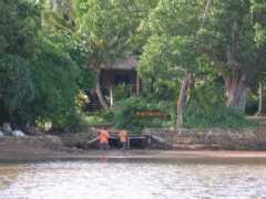 Matava