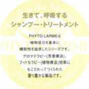 rakuten.co.jp Matees