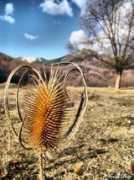 panoramio.com Mateias