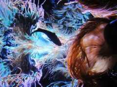 ngm.nationalgeographic.com Matelski