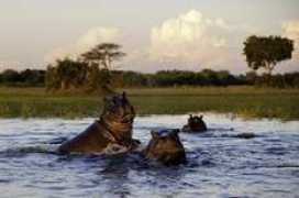 eyesonafrica.net Mathatha