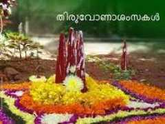 spiderkerala.net Matheri