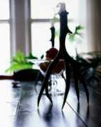 fengshui.about.com Mathic