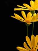 betterphoto.com Mathkar