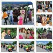 weddingsquare.com Mathurada