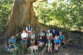 ndabavoetslaanklub.co.za Matlapa