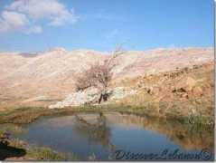 discoverlebanon.com Matn