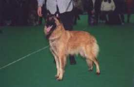 dufinmatois.com Matois