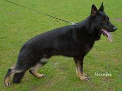 Matscho