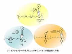 jaist.ac.jp Matsumi