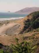 Mattole