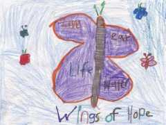 wingsofhope.c Matusiak