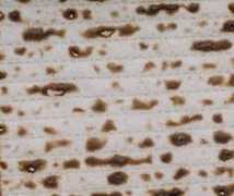 Matza
