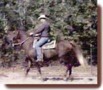 Maudo