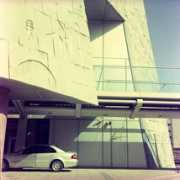 Mauk