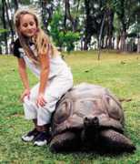 holidayswithkids.com.au Maulisa