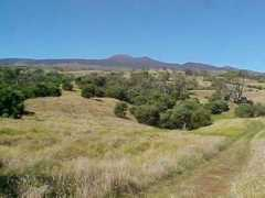 Maunakea