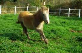 equilogia.at Maunis