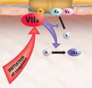 anaesthesiauk.co.uk Maureane
