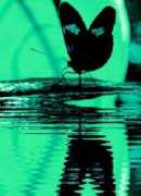 fotothing.com Maurix