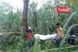 hmetro.com.my Mauta