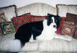 Maxey