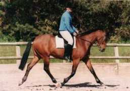 cabalva.com Maxina