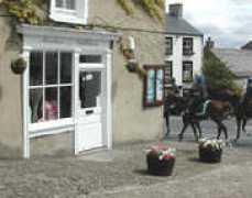 middlehamonline.com Maxines