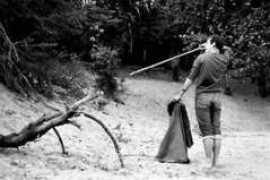 jmtroude.free.fr Maxmi