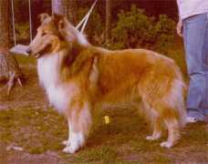 finncollies.com Maxmila